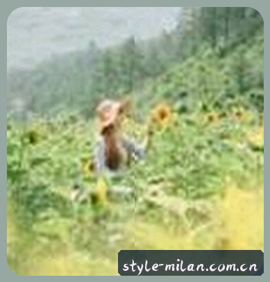 小李
